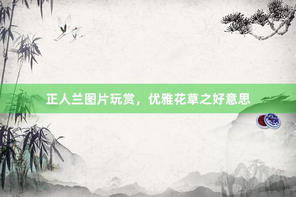 正人兰图片玩赏，优雅花草之好意思